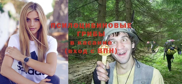бошки Алексин