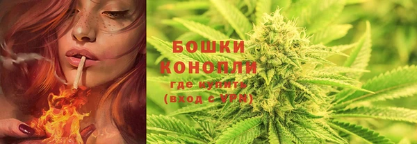 бошки Алексин