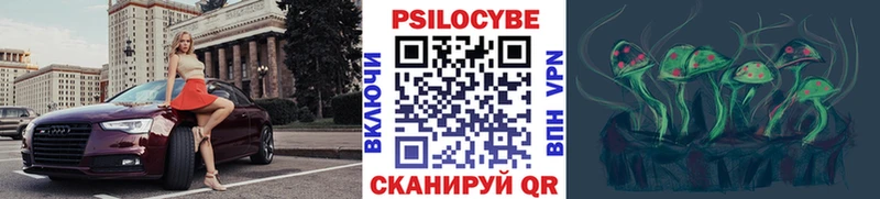 продажа наркотиков  Пугачёв  Галлюциногенные грибы Psilocybe 