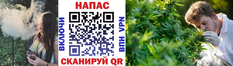 Канабис гибрид  блэк спрут рабочий сайт  Пугачёв  нарко площадка Telegram  купить наркотики цена 